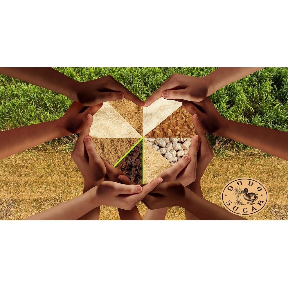 Nierafinowany cukier trzcinowy CYNAMONOWY BRĄZOWY MIĘKKI CUKIER - 500 g 2 Nierafinowany cukier trzcinowy CYNAMONOWY BRĄZOWY MIĘKKI CUKIER - 500 g 2